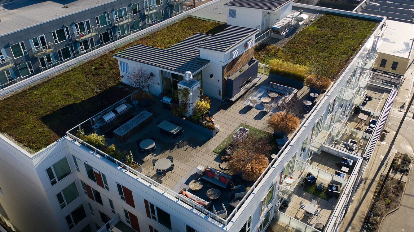 Infinity Apartments Apartments in Seattle WA Capitol Hill Apartments